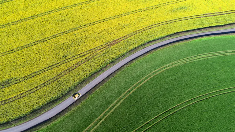 OMV_FF_Biofuel_Car-Driving-Rapefield-02_RGB