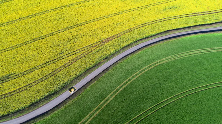 Das Bild zeigt ein Auto das auf einer Straße zwischen Feldern fährt aus der Vogelperspektive