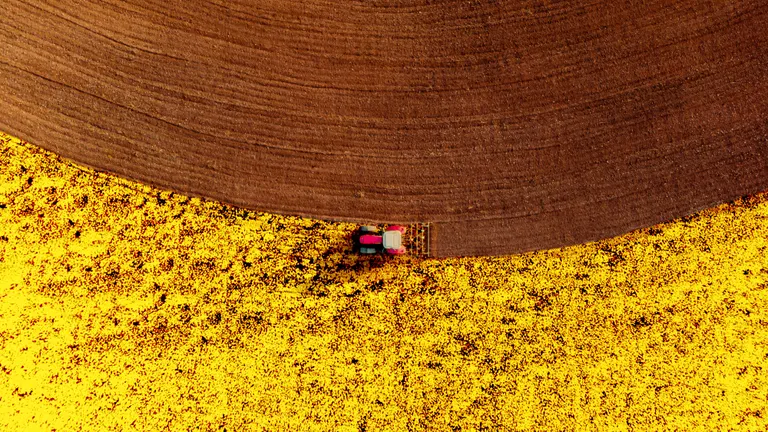OMV_FF_Biofuel_Rapefield_Aerial_View-01_RGB